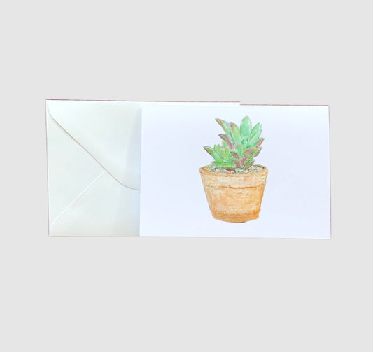 A sketch of a succulent in a terracotta pot on the front of a greeting card.