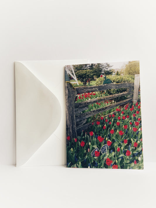 Greeting card with a rustic fence surrounded by red tulips